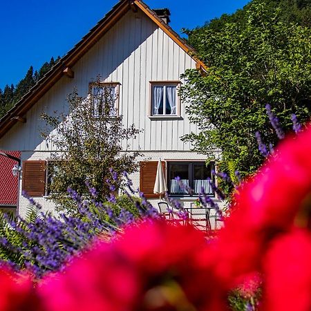 Apartamento Haus Niedermaettle Oppenau Exterior foto