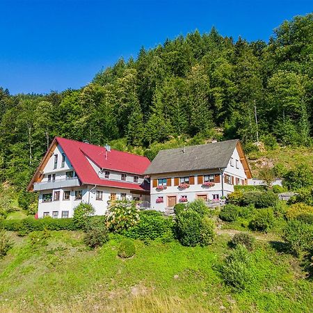 Apartamento Haus Niedermaettle Oppenau Exterior foto